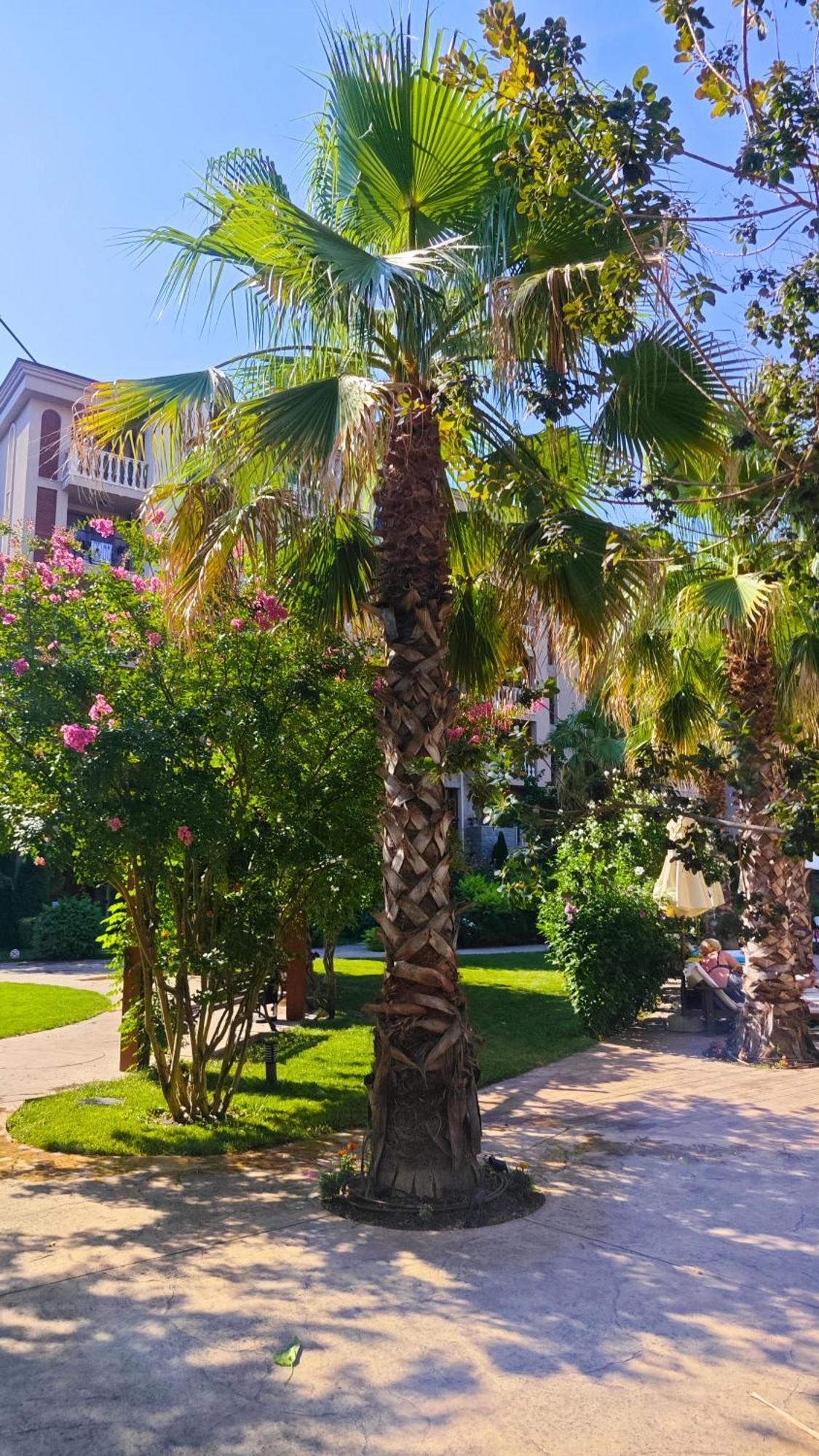 Attractive Family Apartment In Sunny Beach Cascadas Family Resort Exteriör bild